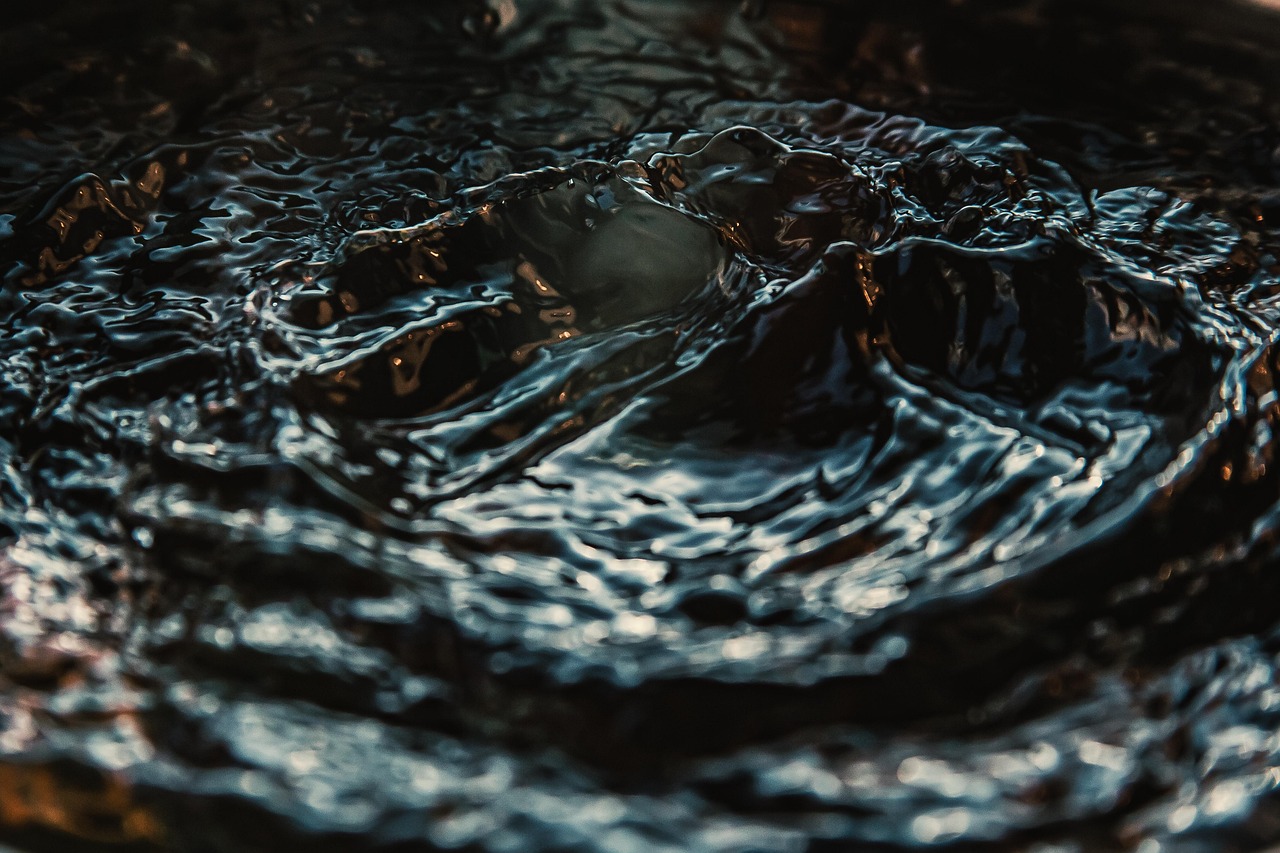 Learning to Read Water: Chop, Swell, and What They Tell You